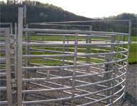 Cattle Handling Equipment - 180 Degree Sweep System